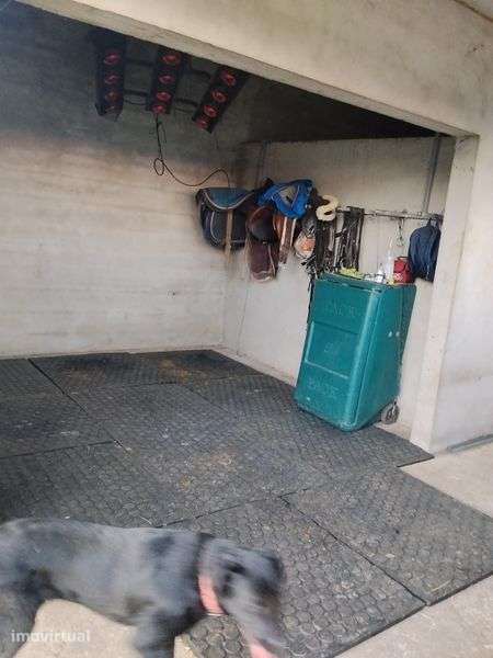 Vendo ou alugo terreno com boxes e picadeiro para cavalos - Grande imagem: 4/8