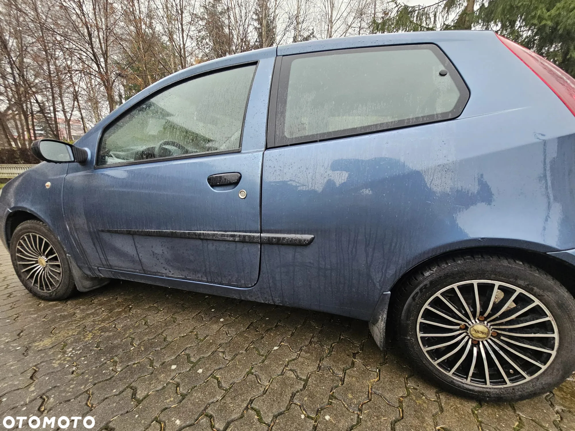 Fiat Punto 1.3 Multijet - 3