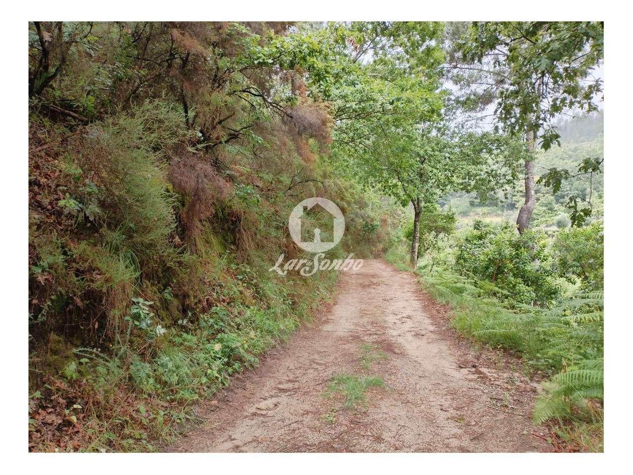 Terreno com 9.380m2 no  Parque Natural do Gerês - Grande imagem: 2/5