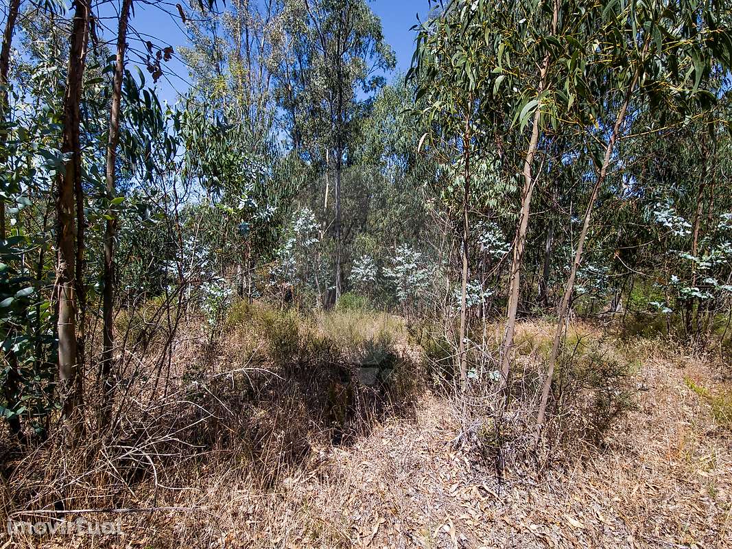 Terreno  para venda - Grande imagem: 2/6