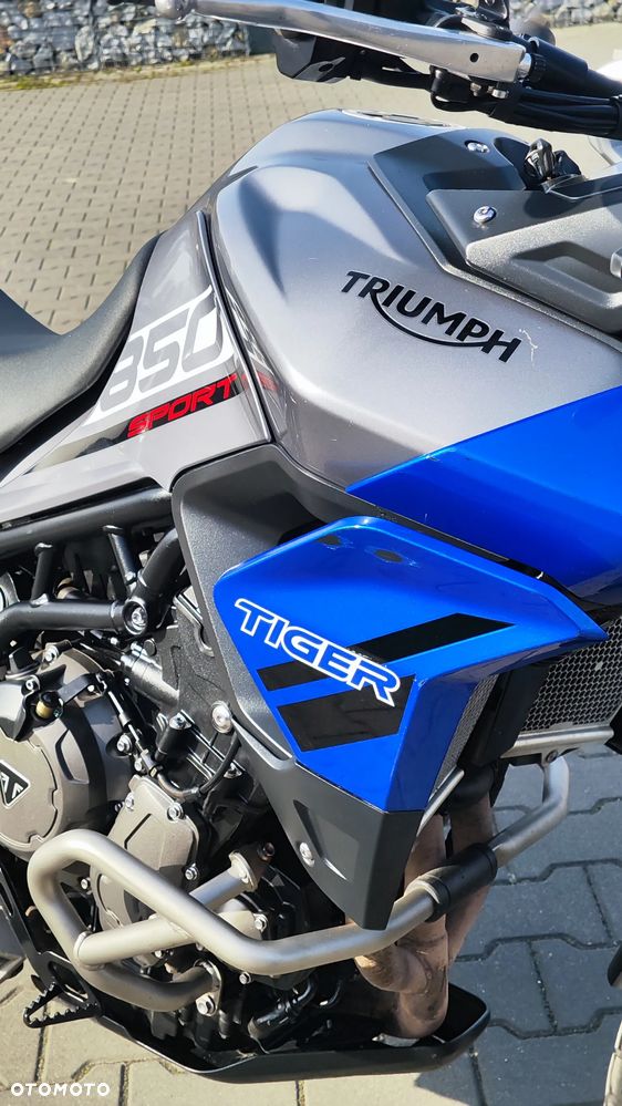 Triumph Tiger - 16