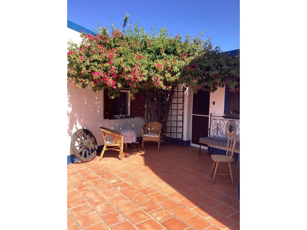 Casa com Moinho em pleno Alentejo - Grande imagem: 2/21