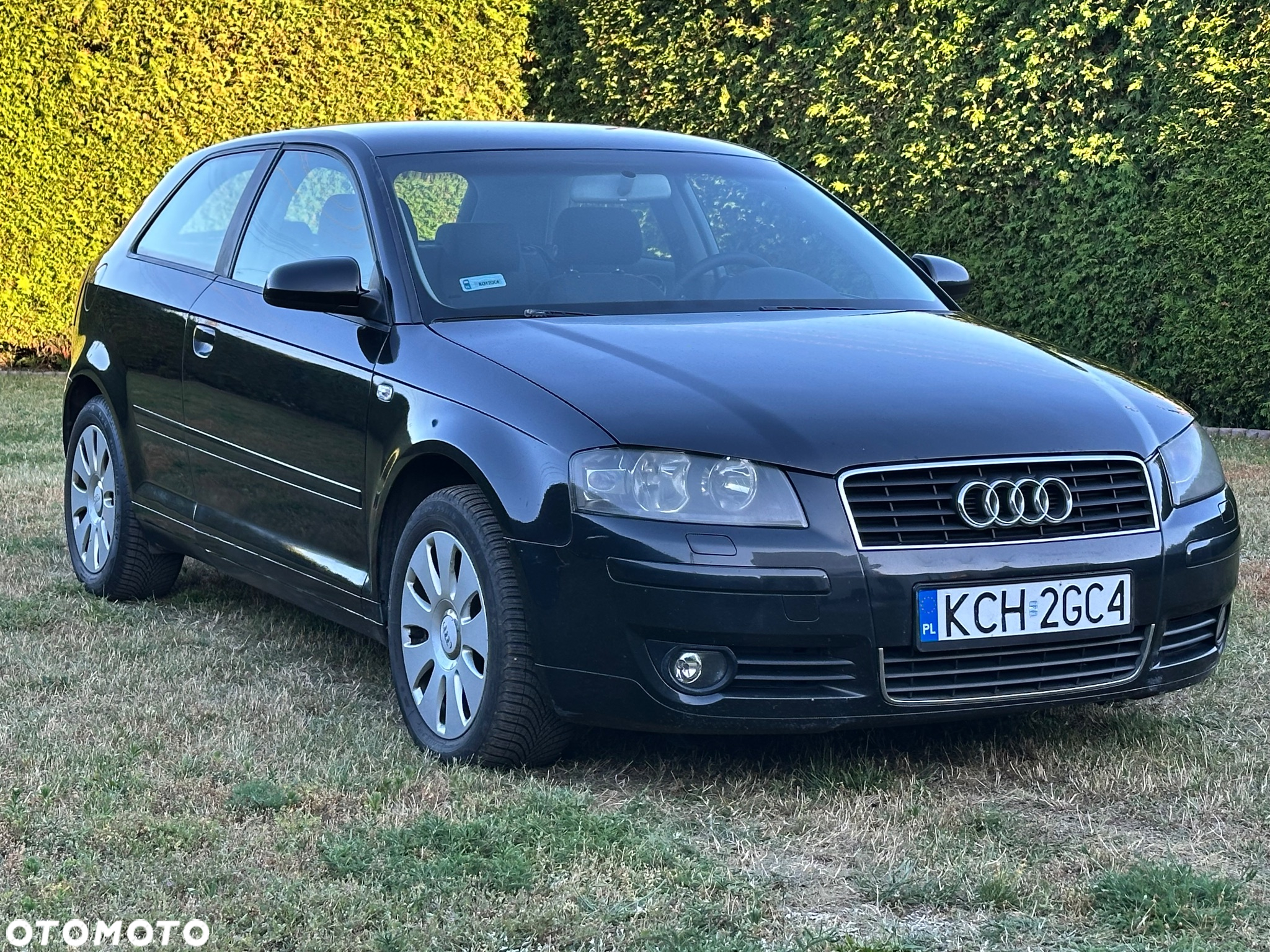 Audi A3 1.9 TDI Attraction - 3