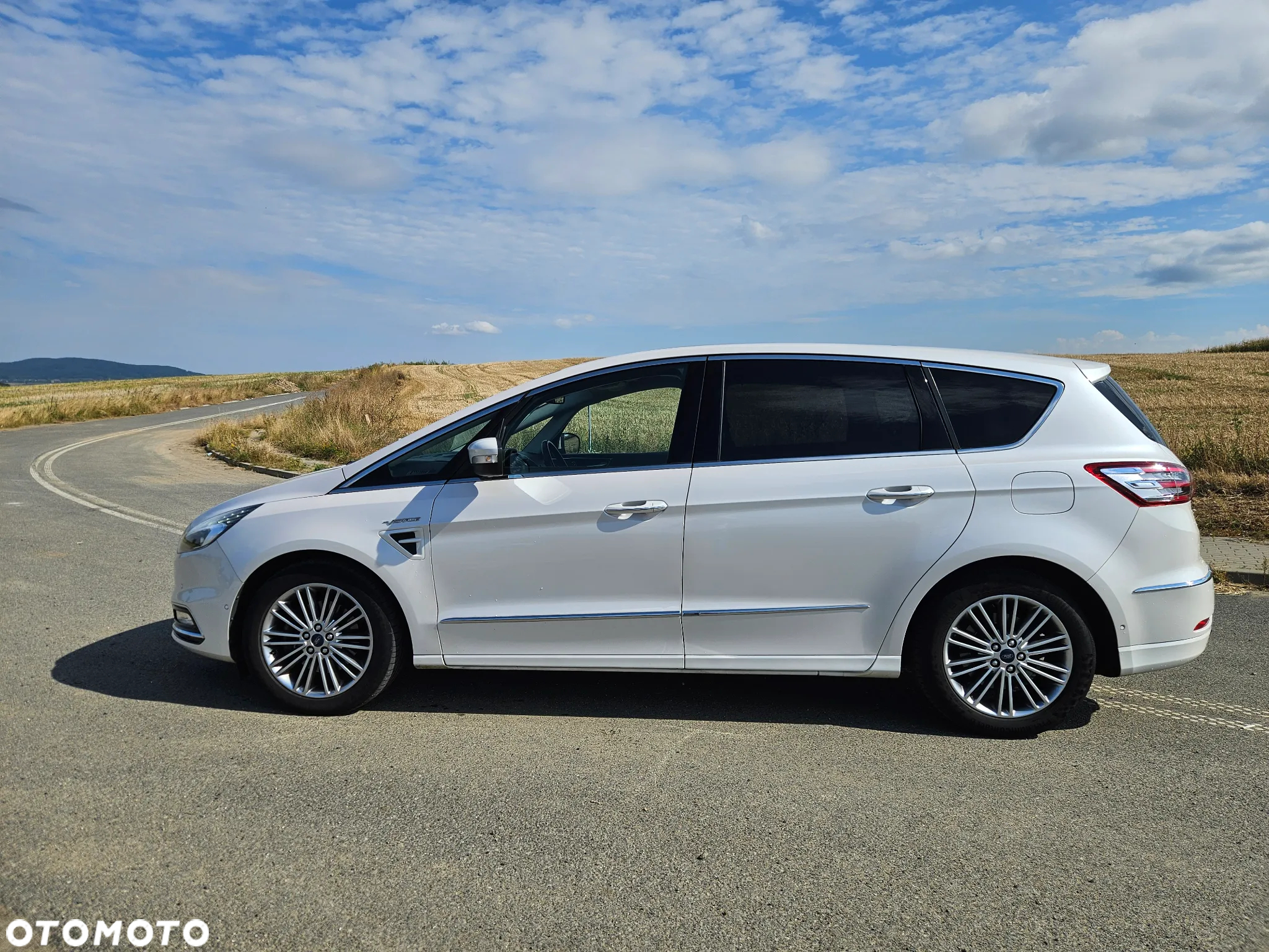 Ford S-Max 2.0 EcoBlue Vignale - 8