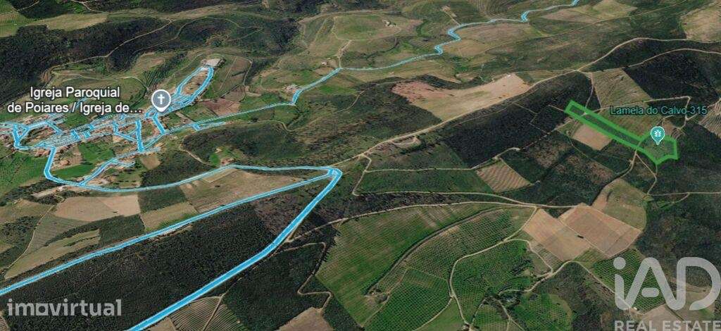 Terreno Agrícola em Poiares - Grande imagem: 4/5
