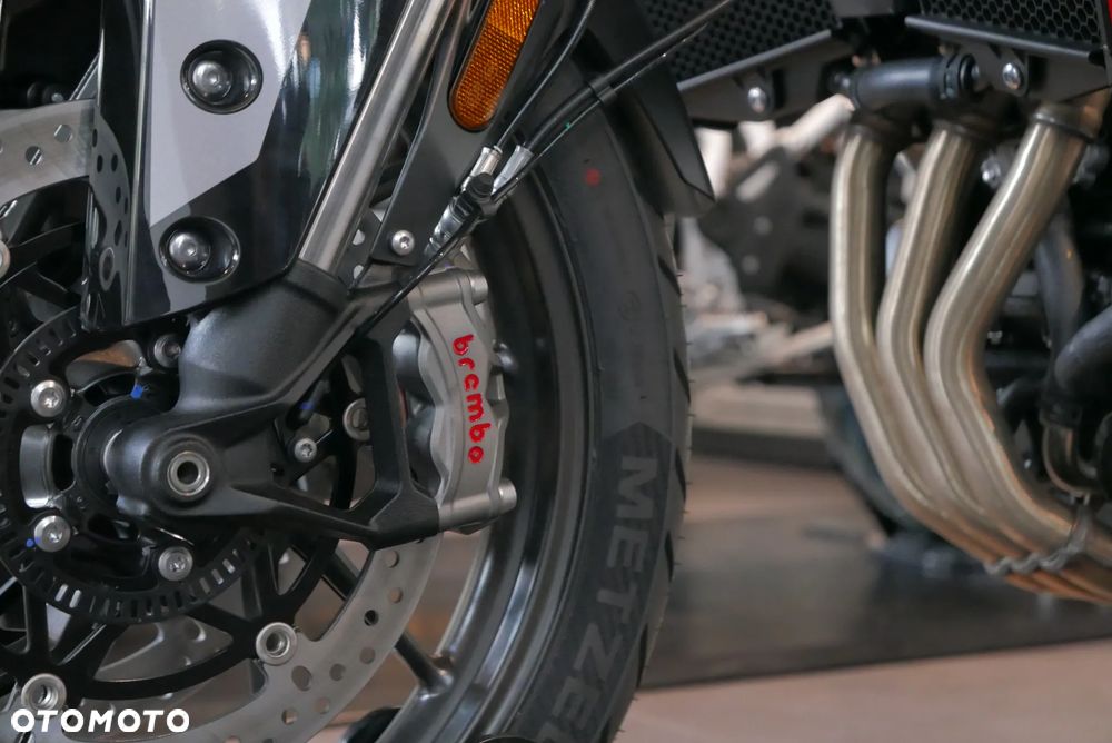 Triumph Tiger - 19