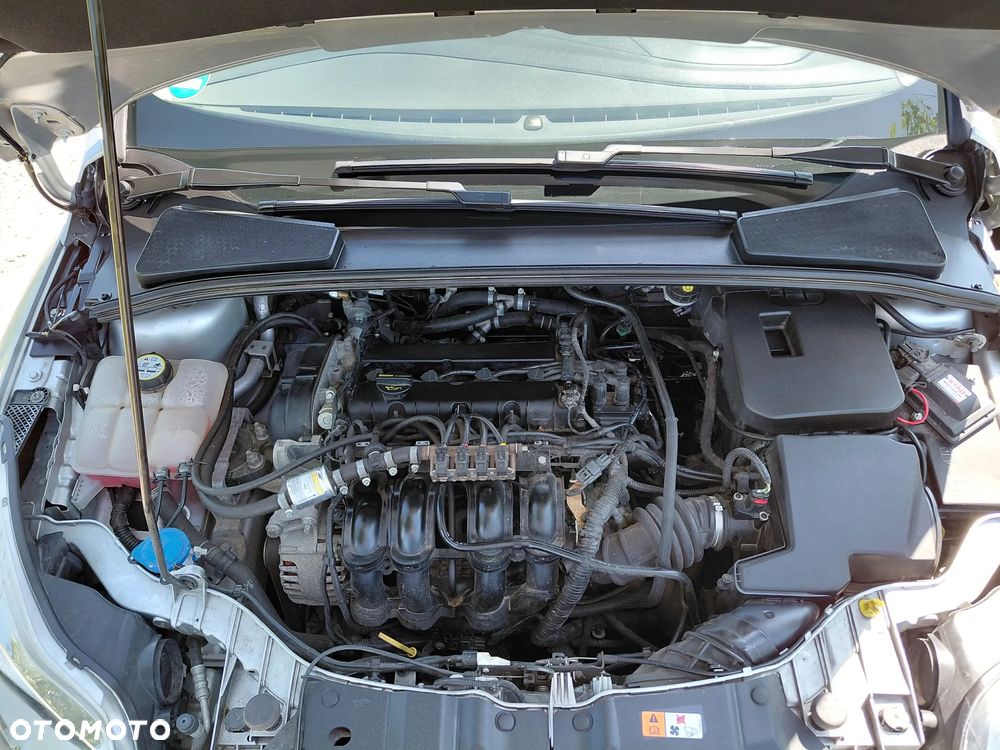 Ford Focus 1.6 Edition - 7