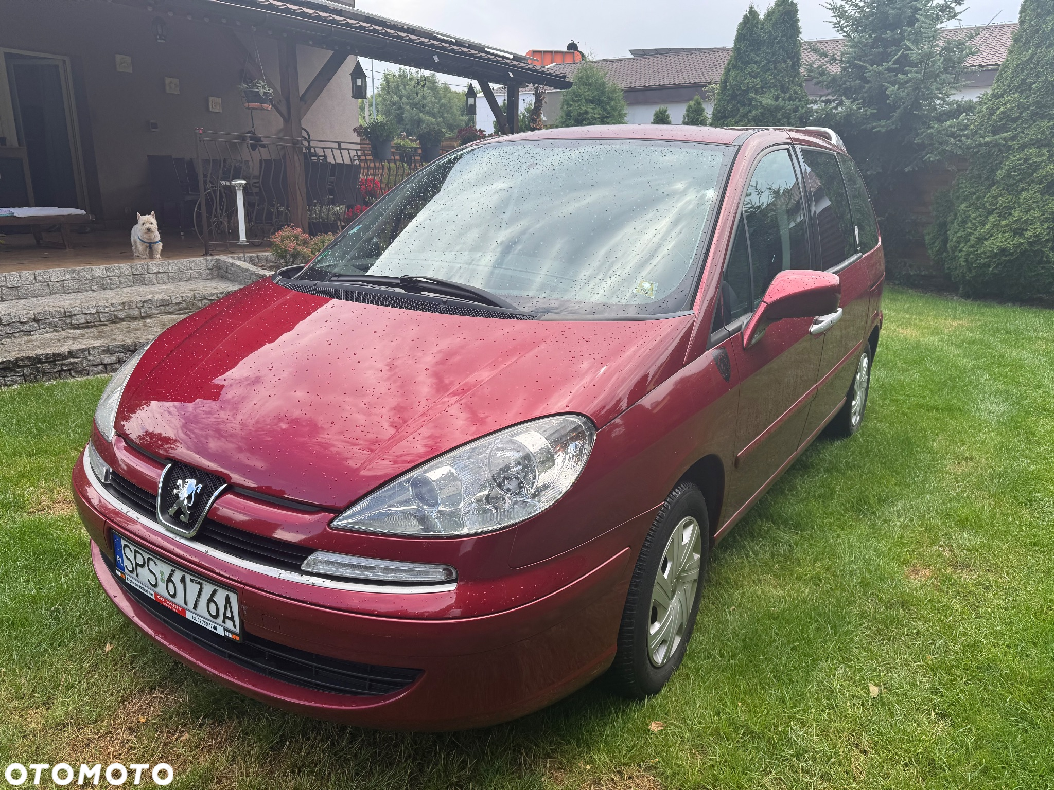 Peugeot 807 - 3