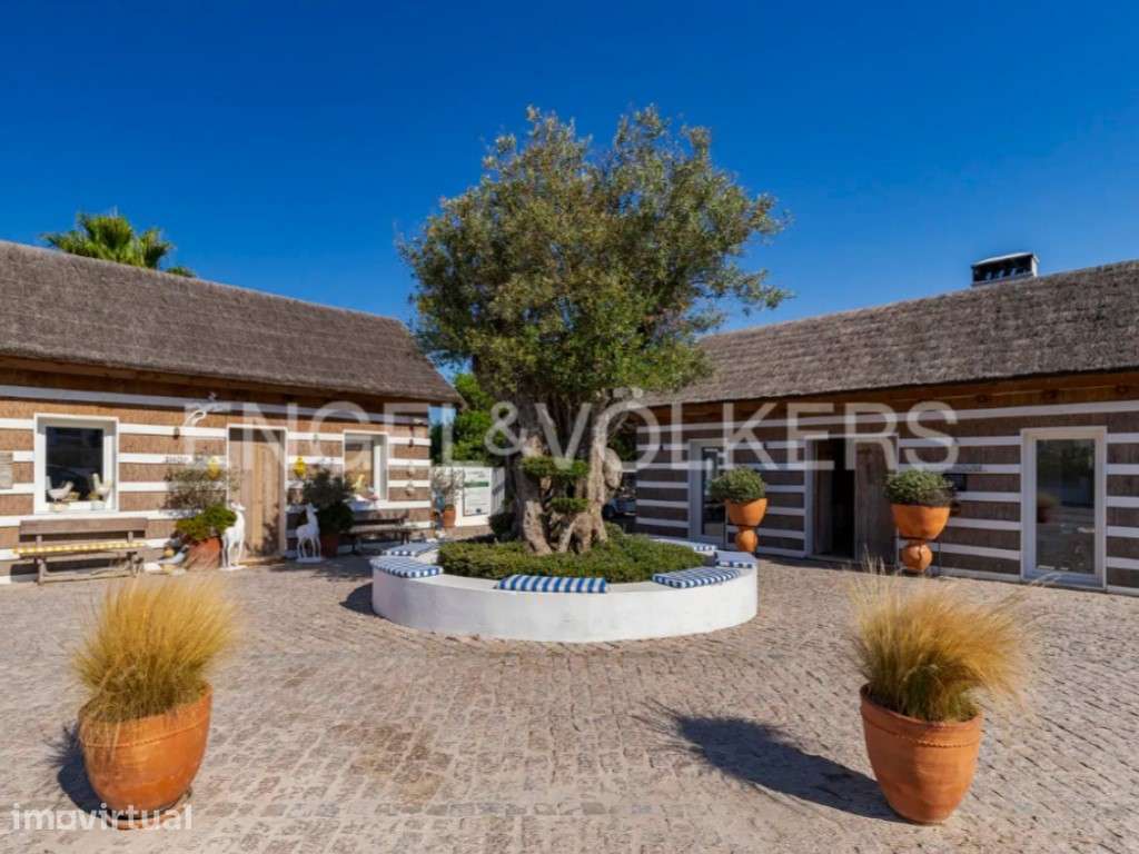 Lote para construção na Aldeia do Carvalhal - Grande imagem: 3/6