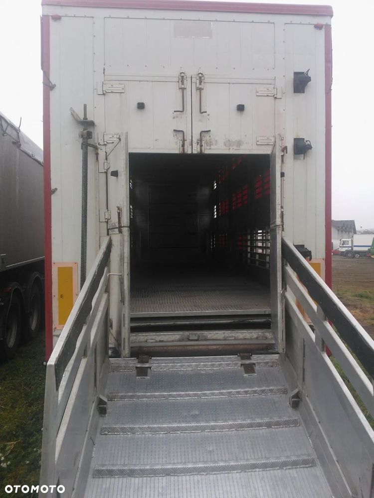 Zorzi 36s 136/19 LA - 3