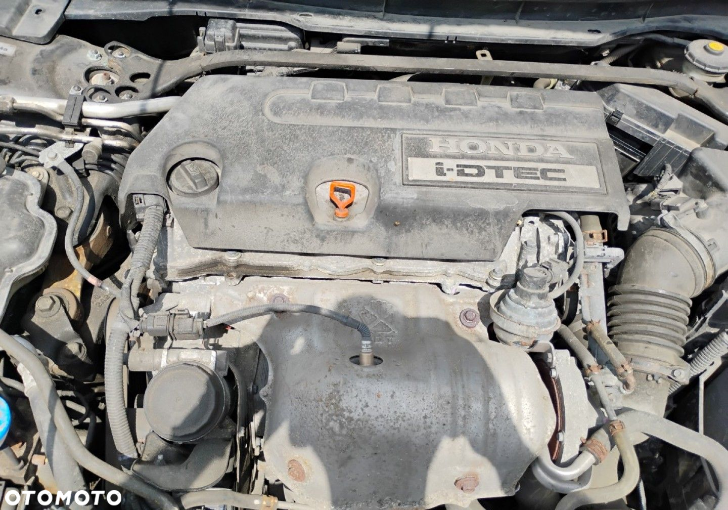 Honda Accord - 21