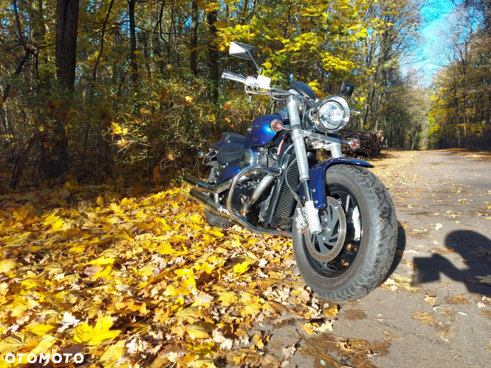 Suzuki Intruder - 19