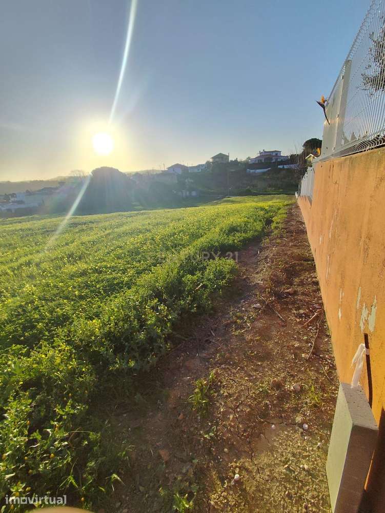 TERRENO URBANO COM 1.620 m² | CARVALHAL – TURCIFAL | TORRES VEDRAS - Grande imagem: 5/11
