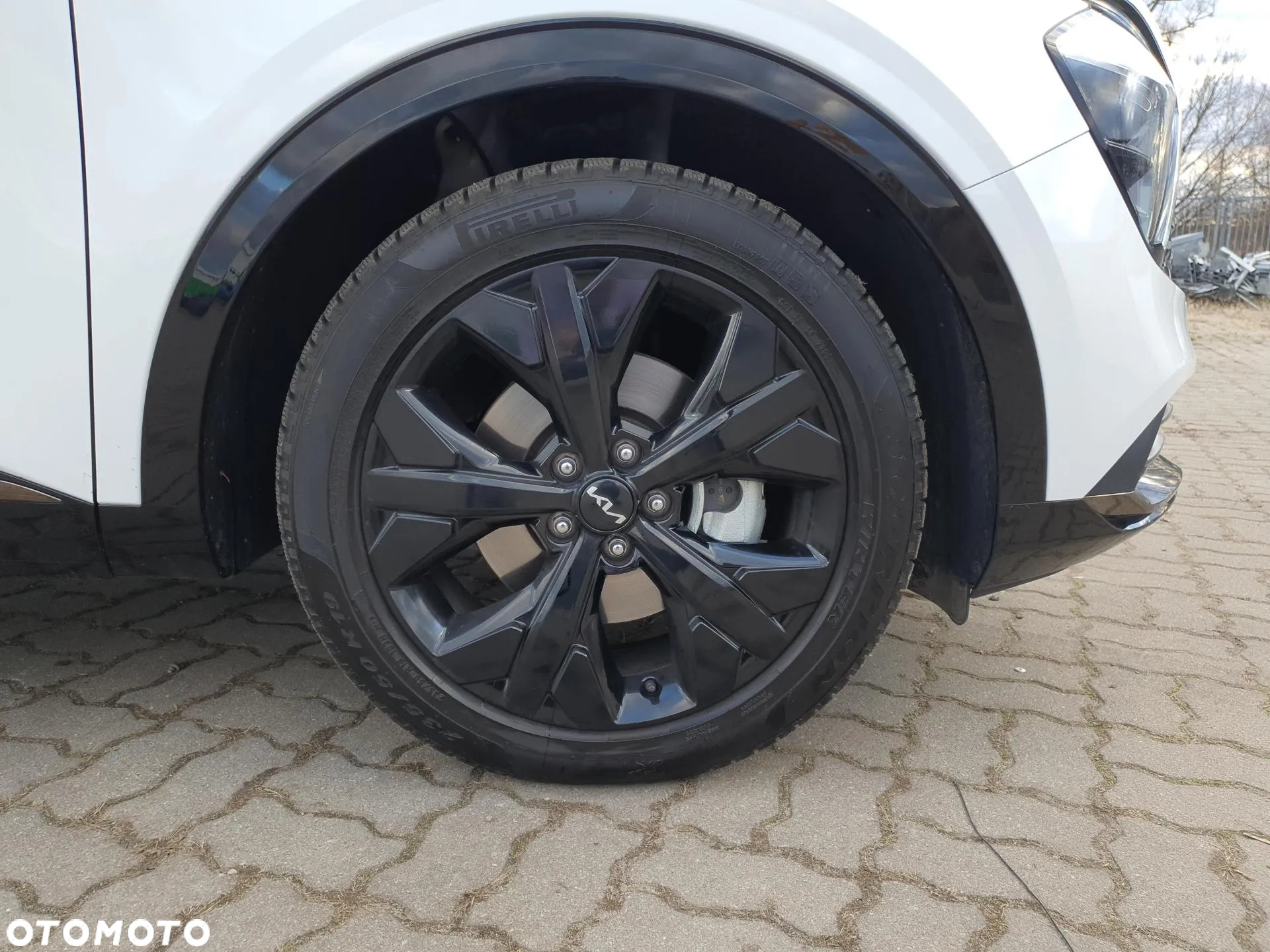 Kia Sportage 1.6 T-GDI MHEV Anniversary 2WD DCT - 19