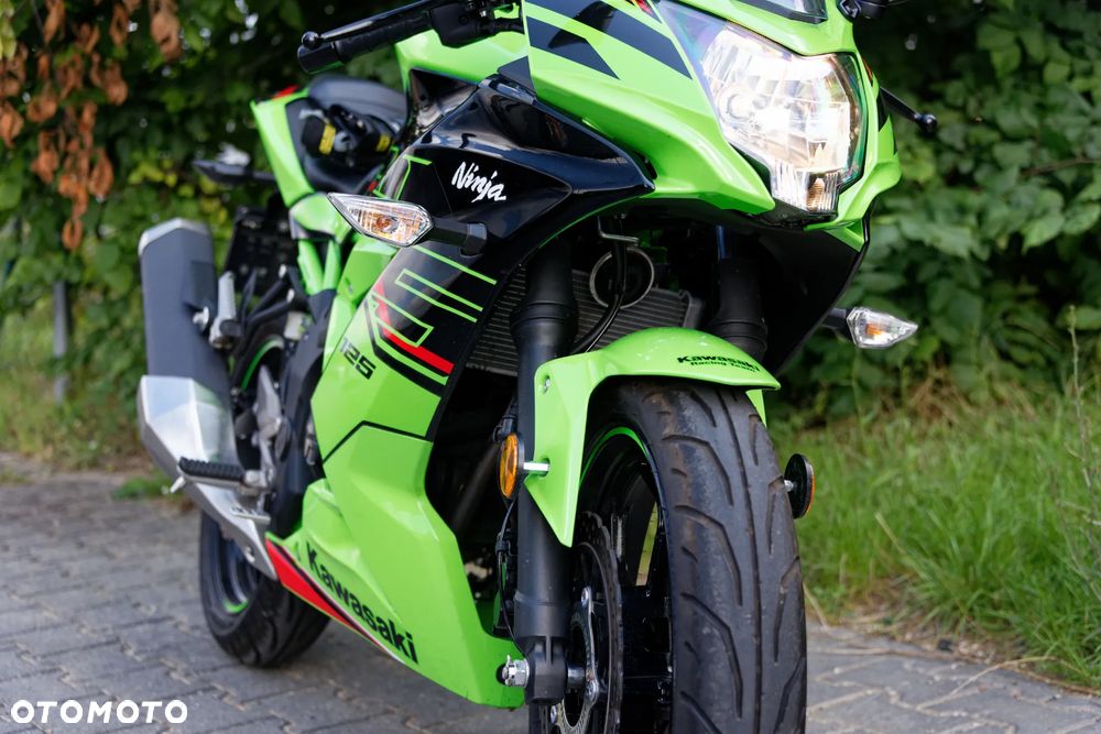 Kawasaki Ninja - 15