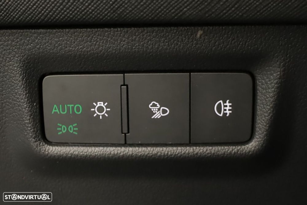 Skoda Kodiaq 2.0 TDI DSG - 19