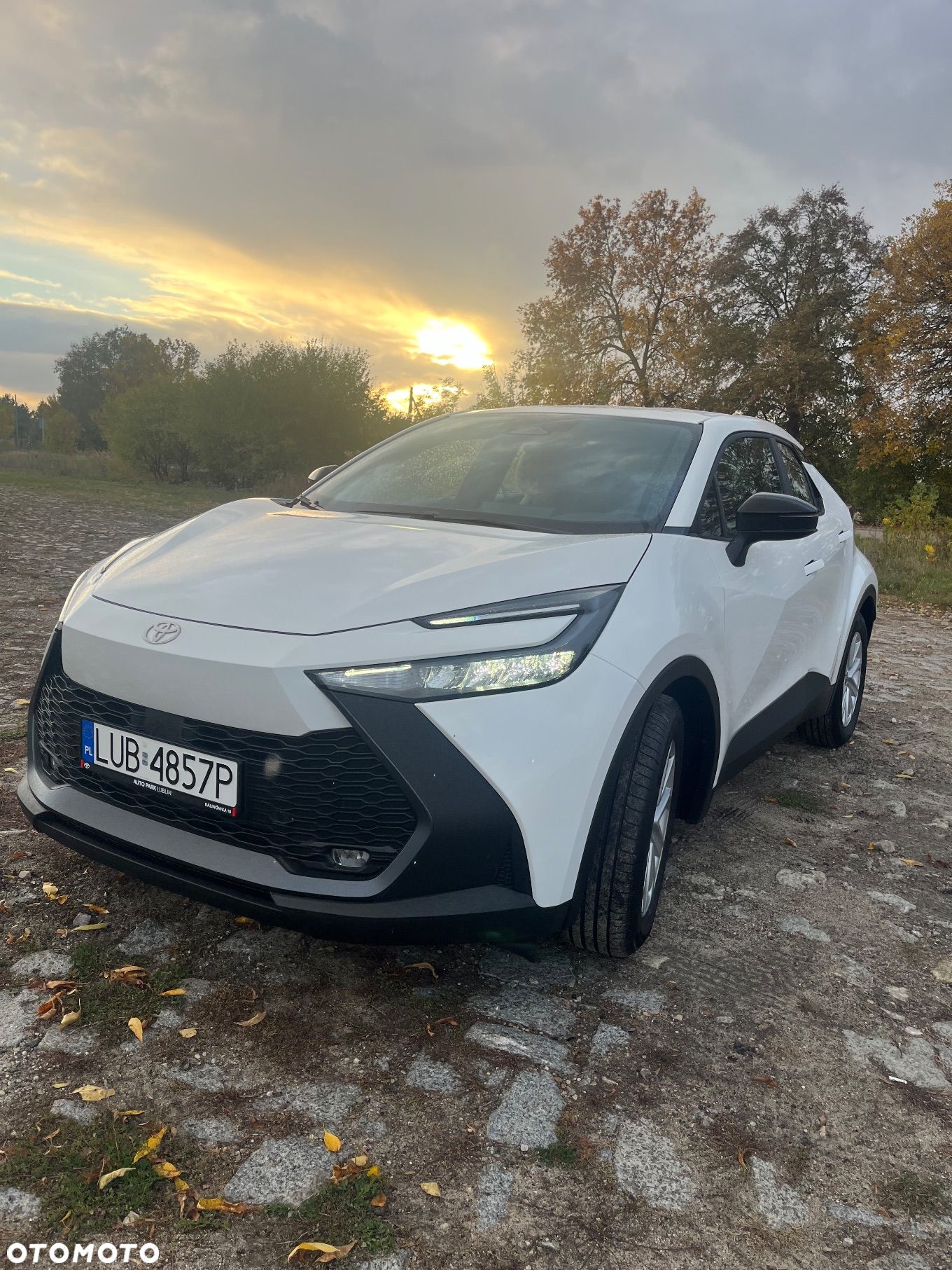 Toyota C-HR - 1