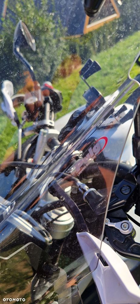 Triumph Tiger - 19