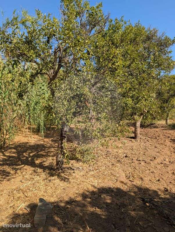 Terreno  para venda - Grande imagem: 3/4