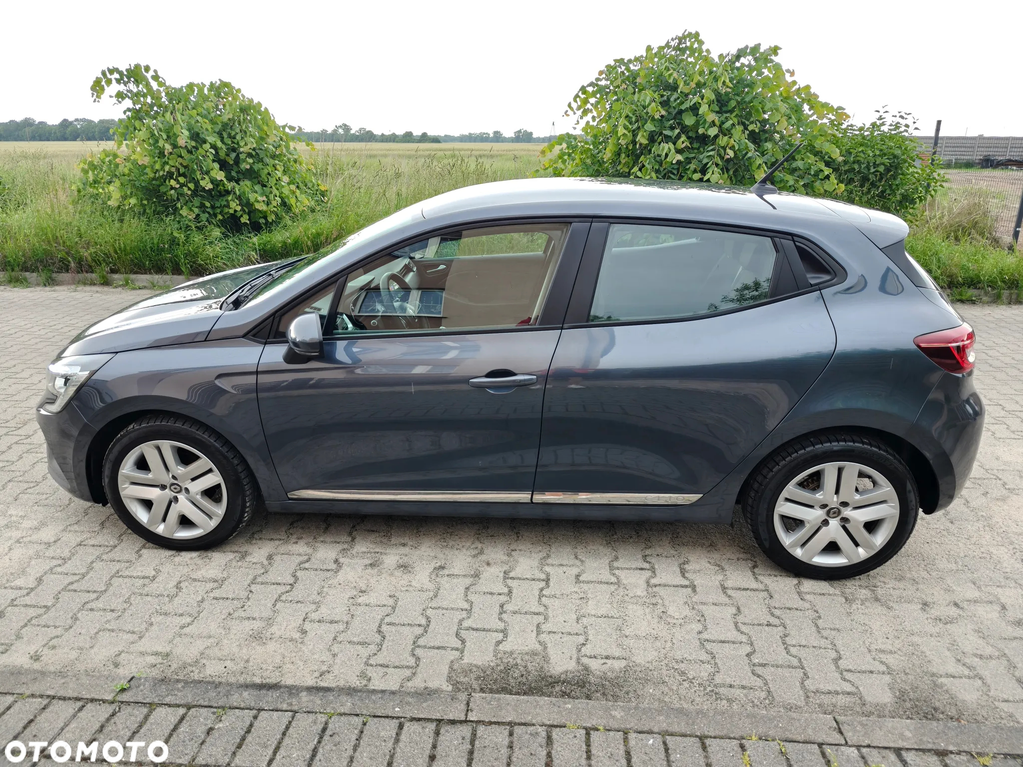 Renault Clio - 7