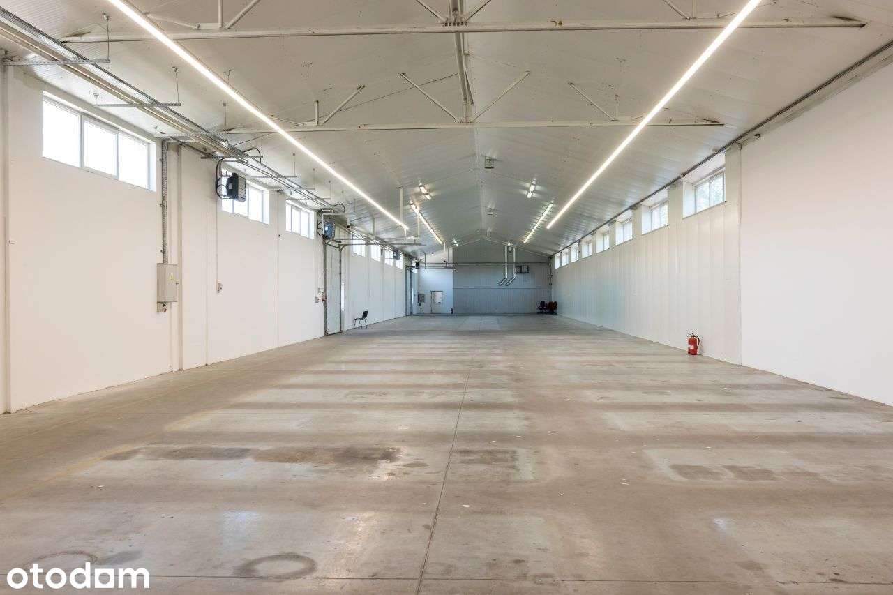 Magazyn, hala, lokal, sklep 1000 m² Szczucin - Pełny obrazek: 2/10