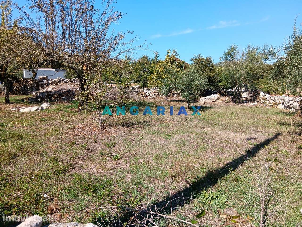 ANG1685 - Terreno para Venda em Alvados, Porto de Mós - Grande imagem: 2/6