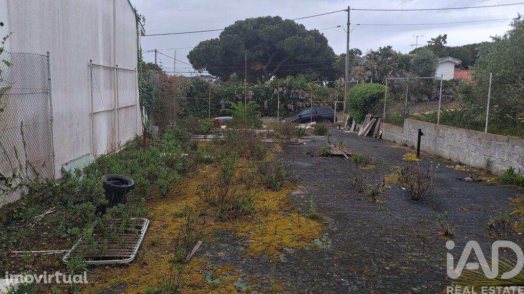 Terreno para construção em Sesimbra (Castelo) - Grande imagem: 4/8