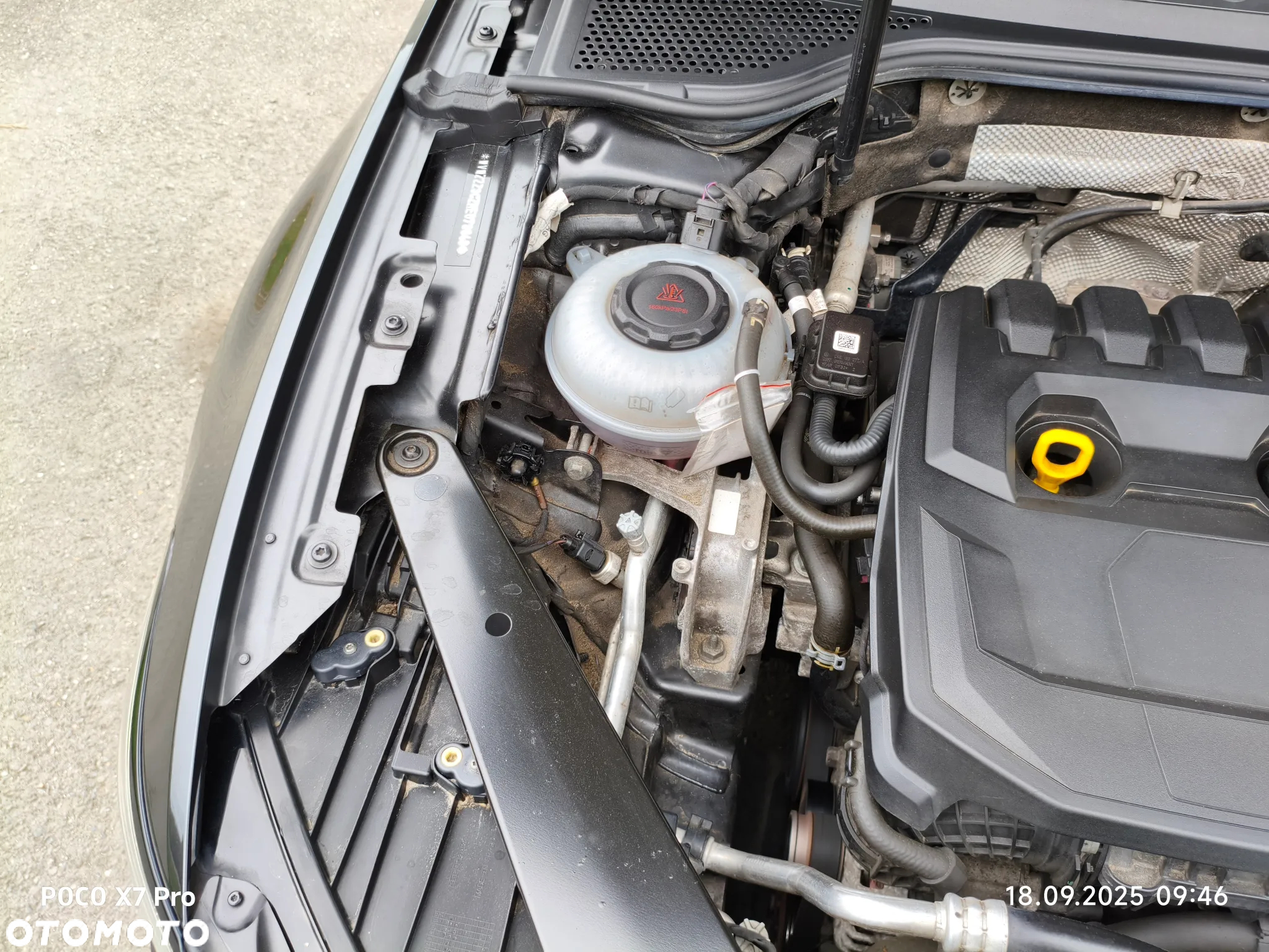 Volkswagen Passat 1.5 TSI EVO Business - 31