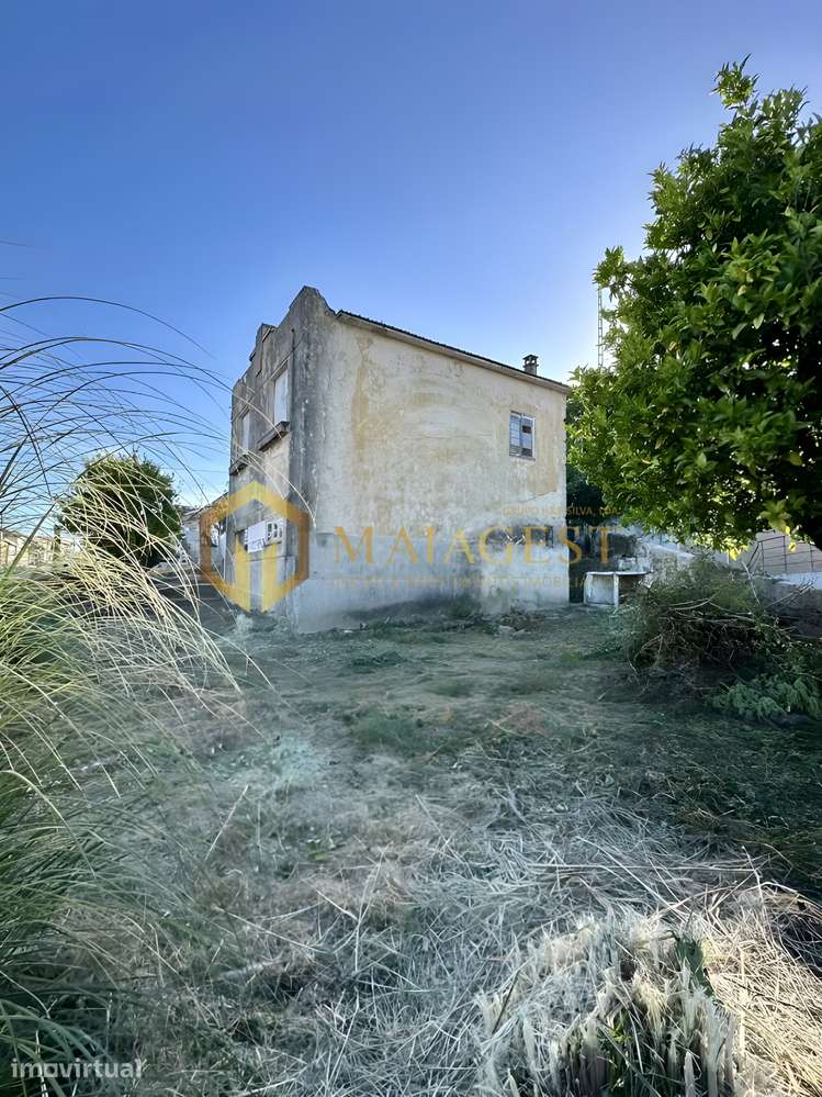Moradia Independente com Jardim e Poço em São Mamede de Infesta - Grande imagem: 3/24