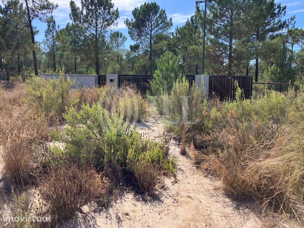 Terreno no Muda Reserve, Comporta - Grande imagem: 4/20