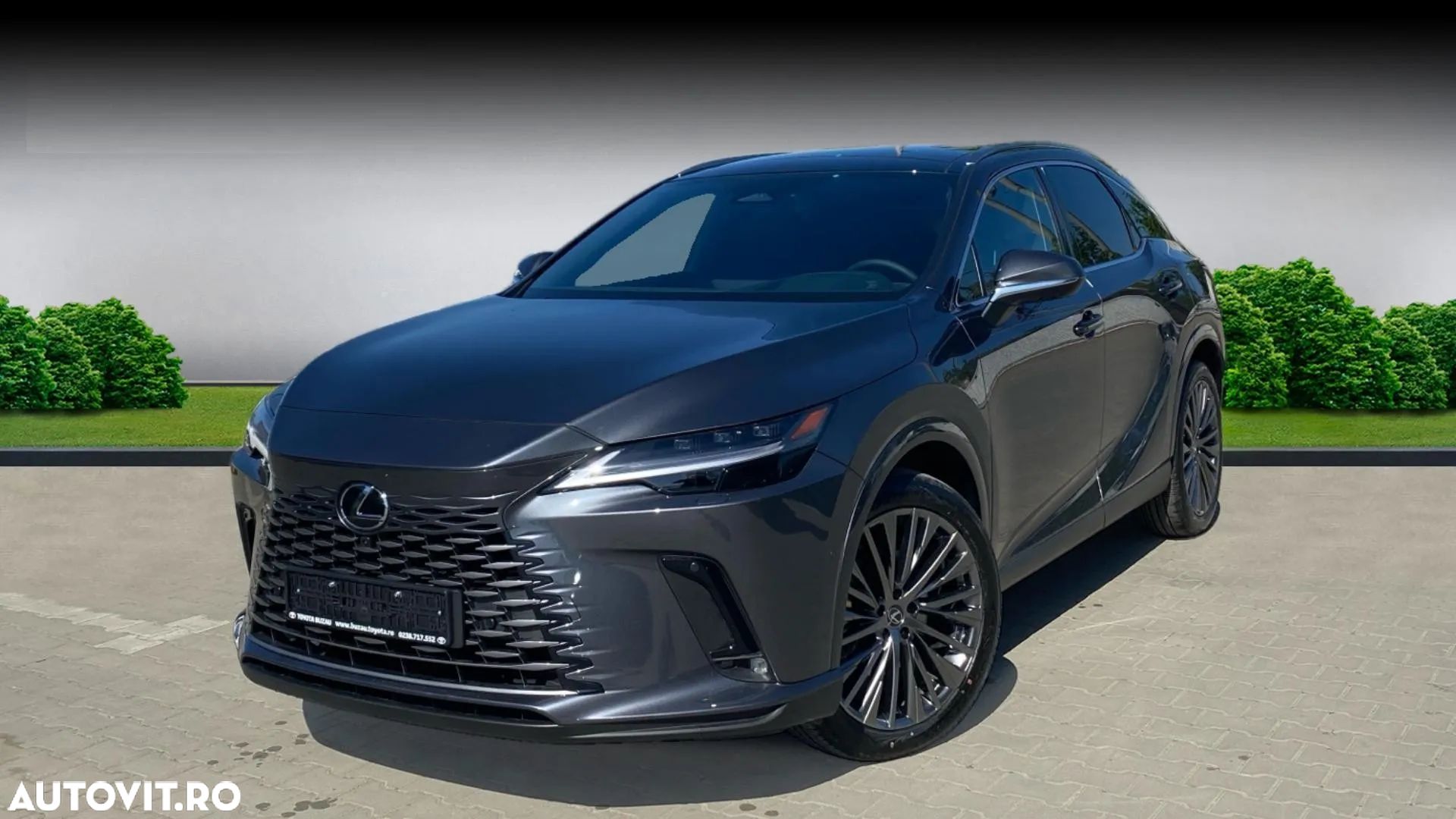 Lexus Seria RX - 1