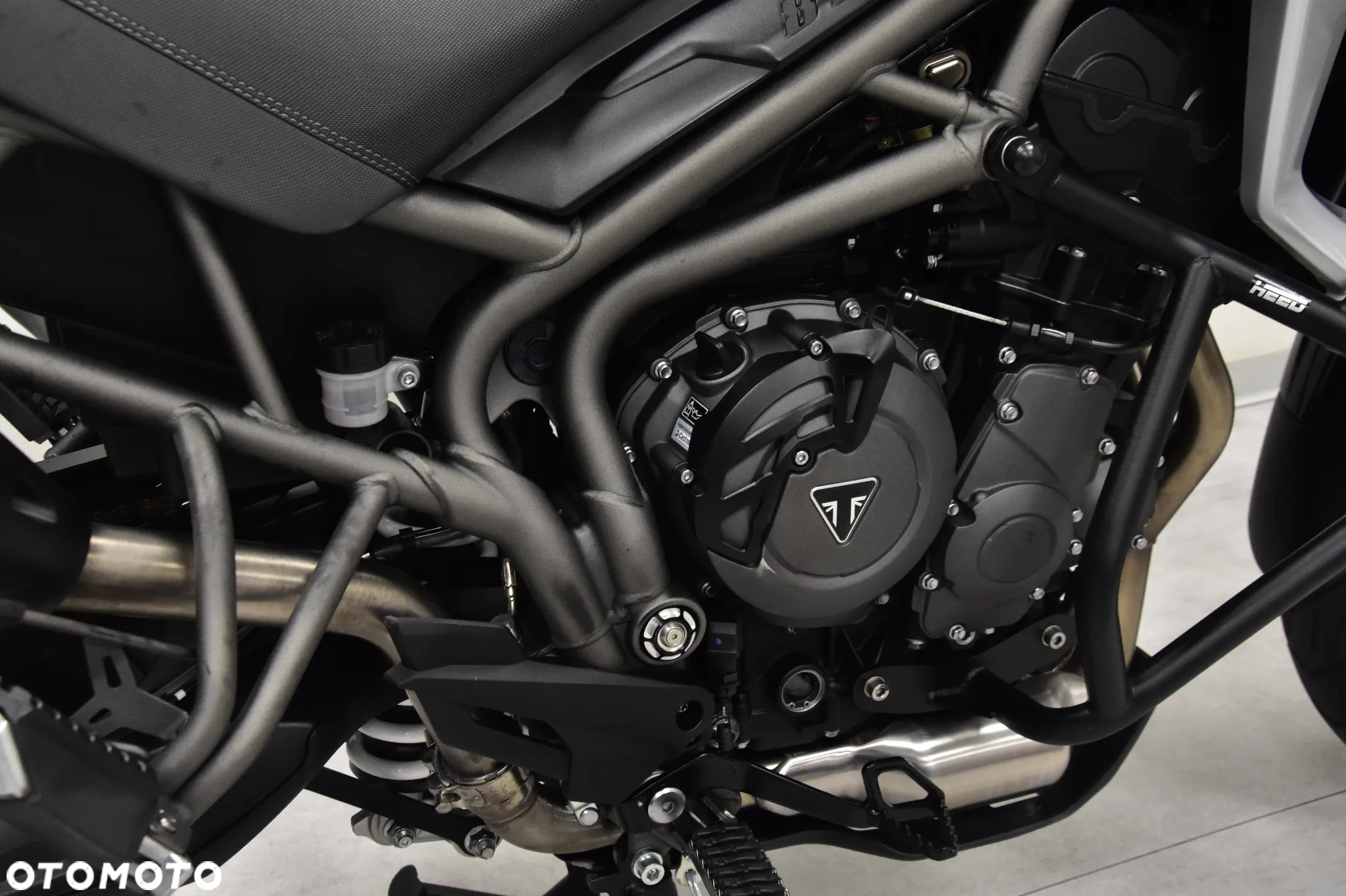Triumph Tiger - 29