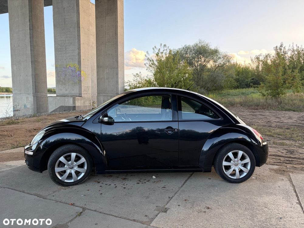 Volkswagen Beetle - 5