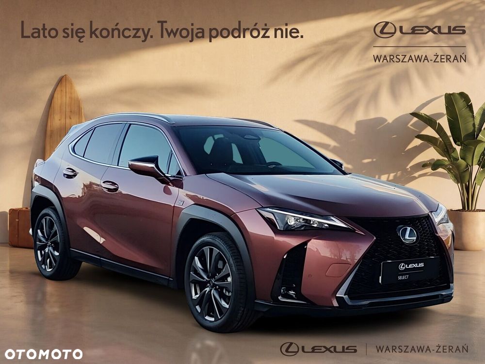 Lexus UX 300h F Sport Design - 9