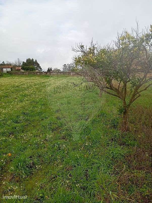 Terreno  para venda - Grande imagem: 2/33