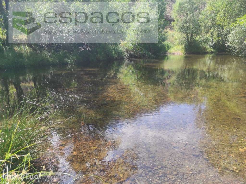 Quintinha - Grande imagem: 4/12