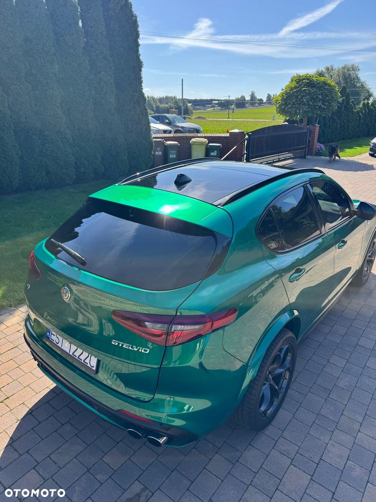 Alfa Romeo Stelvio 2.9 Bi Turbo V6 Quadrifoglio Q4 - 17