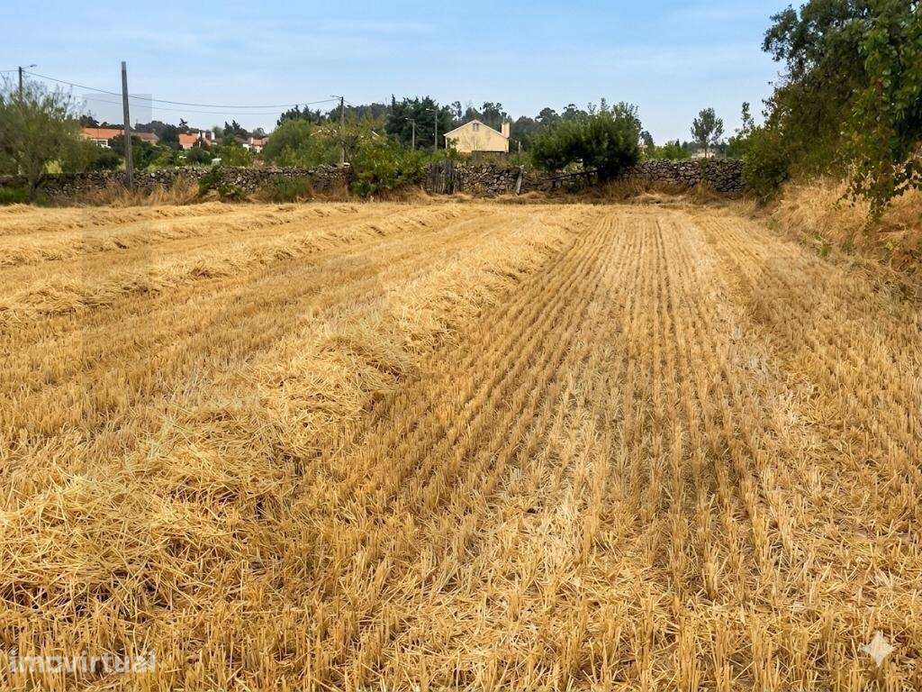 Propriedade Exclusiva na Touça (V.N. de Foz-Côa):  Urbanos de apoio ag - Grande imagem: 4/11
