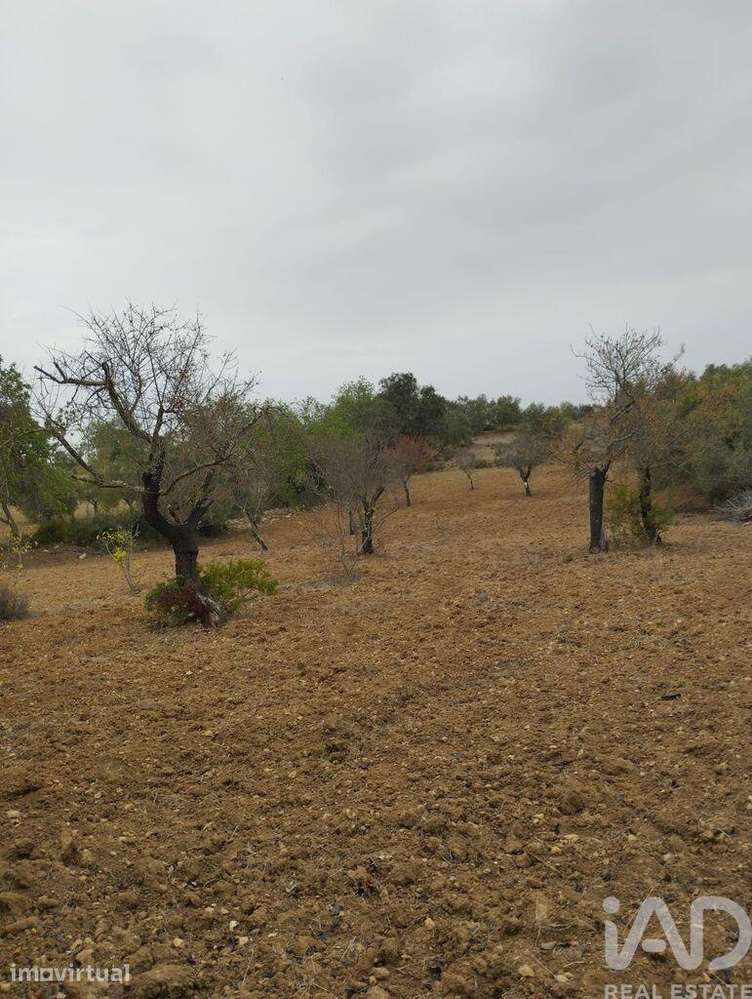 Terreno Agrícola em São Brás de Alportel de 3400,00 m2