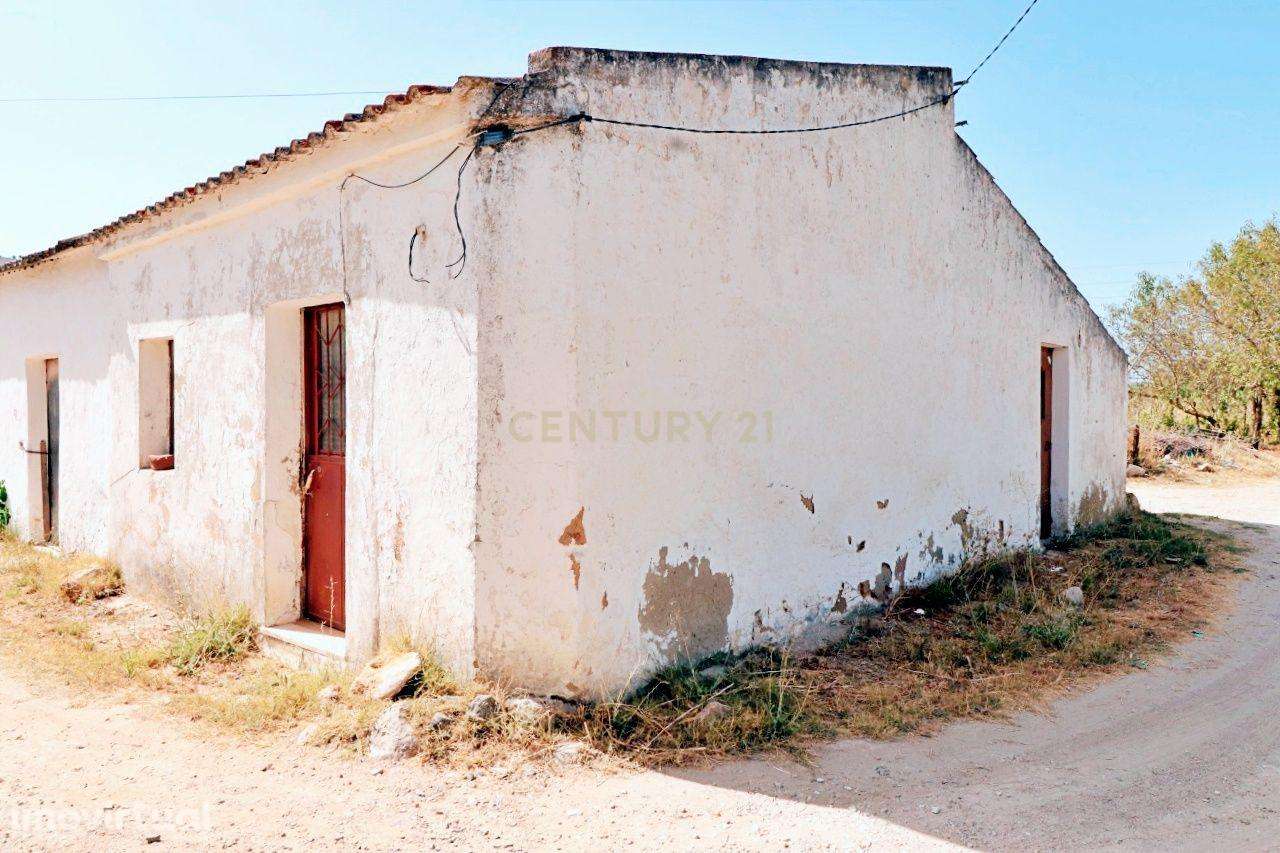 Oportunidade de aquisição conjunta – Dois imóveis no Brejo, Luz de Tav - Grande imagem: 3/29