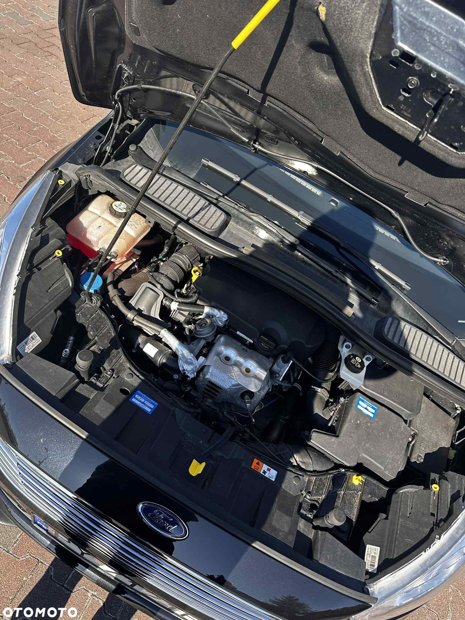 Ford C-MAX 1.0 EcoBoost Titanium ASS - 14