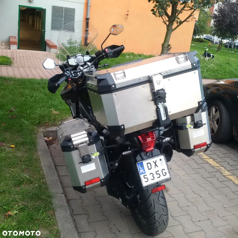 Triumph Tiger - 13