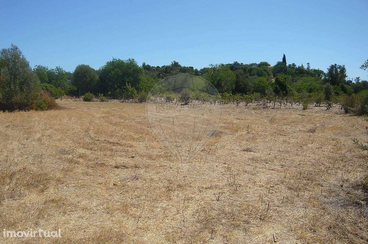 Terreno  para venda - Grande imagem: 4/10