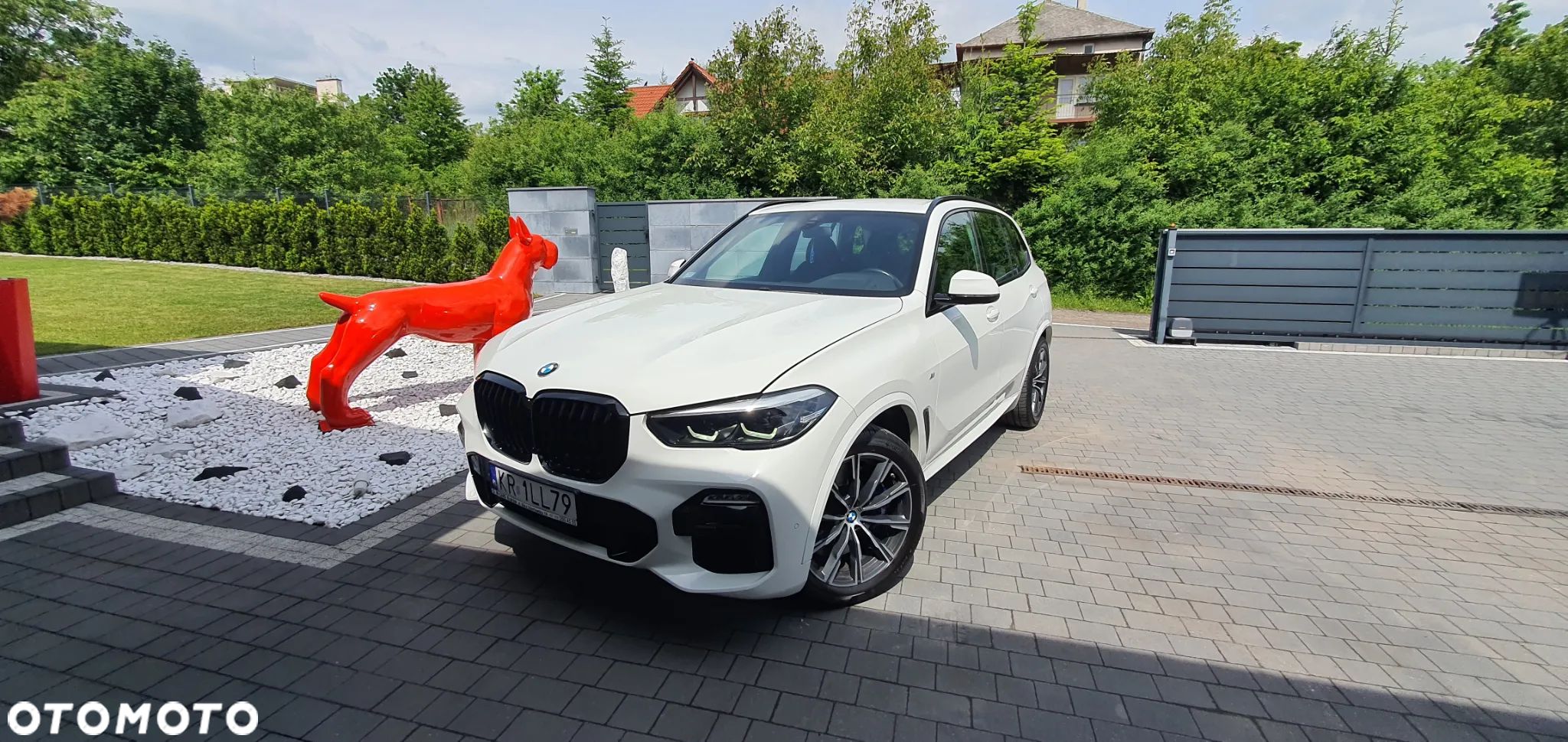 BMW X5 xDrive25d - 1