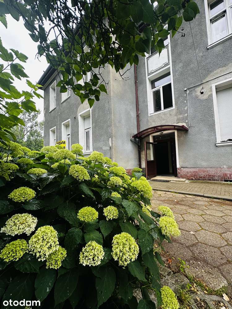 Mieszkanie 71 m2 piwnicą Żary ul. Spokojna -cicho/zielono- wokół park