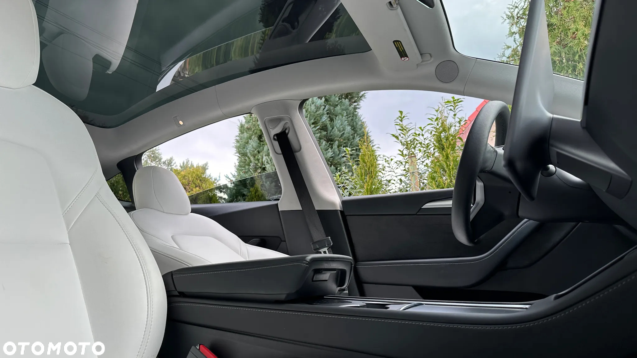 Tesla Y Model Performance Dual Motor AWD - 25