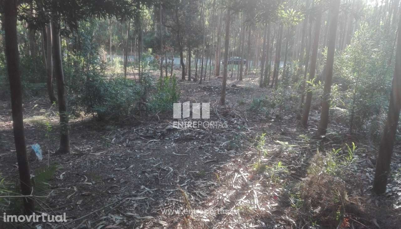 Terreno de construção para venda, Vilarelho, Caminha - Grande imagem: 4/6