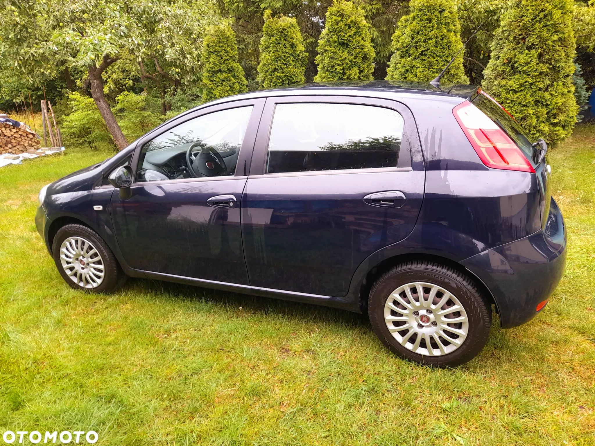 Fiat Punto 1.2 Easy - 1
