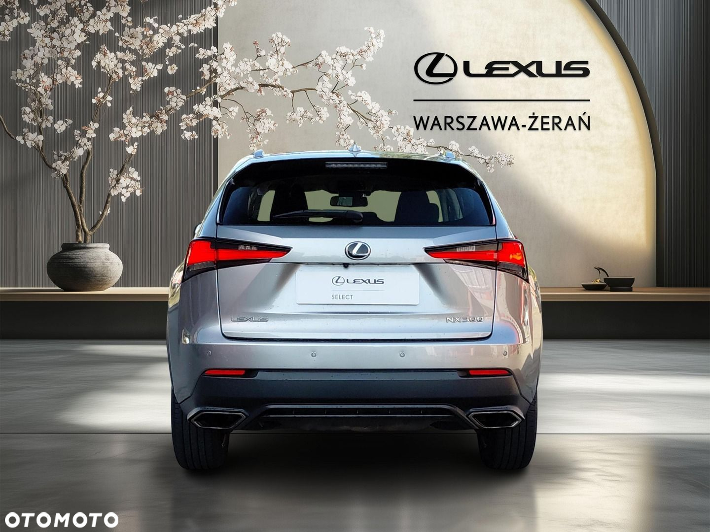 Lexus NX 300 Optimum AWD - 6