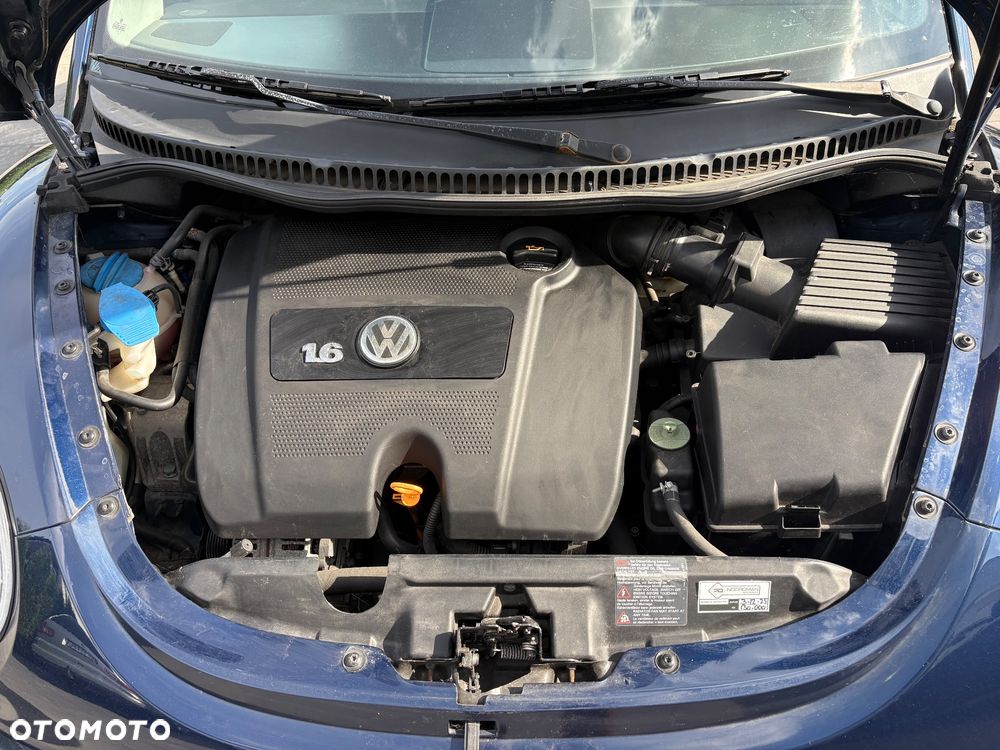 Volkswagen Beetle - 18